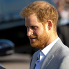 Princ Harry u pravnoj borbi sa britanskim novinama, njegova životna misija je njihova reforma
