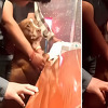 Video psa koji se oprašta od svog vlasnika na sahrani rasplakao mnoge: I oni su kao ljudi