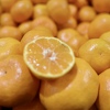 Zabranjen uvoz mandarina iz Hrvatske, pojačana kontrola zbog nedozvoljenih pesticida