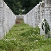 Imenovan odbor za organiziranje 29. godišnjice genocida u Srebrenici, uskoro počinju pripreme