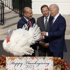 Ceremonija uoči Dana zahvalnosti: Biden na ceremoniji pomilovao dvije ćurke