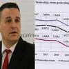 Žuljević objavio podatke za koje tvrdi da pokazuju višegodišnje urušavanje Elektroprivrede
