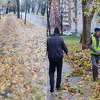 Komunalne ekipe kreću sa čišćenjem u Novom Sarajevu, kažu da je došlo do naglog opadanja lišća