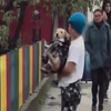 Video koji će vam popraviti dan: Dječak iz Srbije skinuo duksericu i jaknu da ugrije psa