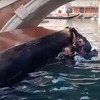 Venecija: Gondola se prevrnula zbog turista koji su odbijali da sjednu i prestanu praviti selfije