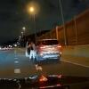 Pogledajte kako su vozači spasili odbjeglog psa na autoputu u New Yorku