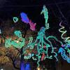 Art&Light Festival održat će se od 29. decembra do 2. januara u Sarajevu
