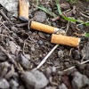 Naučnici od otpada cigareta proizveli biodizel