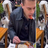 Neodoljiv način na koji ova maca traži hranu u Istanbulu apsolutni je hit na internetu