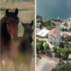Njemačka državna TV snimila dokumentarac o BiH: Zemlja vodopada i netaknute prirode