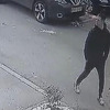 MUP KS uputio apel građanina: Prepoznajete li muškarca sa snimka?
