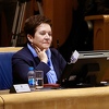 Delegati odlučili da će razmatrati HDZ-ov prijedlog izmjene Zakona o odbrani koji je upućen zbog Komšića