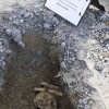 Ljekar iz Brčkog koji je eksperimentisao na kostima žrtava genocida i dalje radi s pacijentima