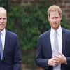 Kraljevski stručnjaci otkrili hoće li se Harry i William pomiriti