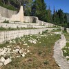 Izjednačavanje fašizma i antifašizma pod krinkom kritike komunizma je u službi revizije historije
