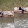 Vilsonovo šetalište: Pas upao u Miljacku, prolaznici se spustili do korita i izvukli ga