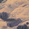 U novom udaru HIMARS-om u oblasti Hersona eliminisana velika koncentracija ruskih vojnika