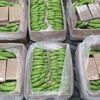 Najveća zapljena u historiji: Kokain vrijedan preko milijarde KM pronađen među bananama u Britaniji