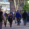Zenica sva u plavo-žutim bojama: Zmajevi će imati veliku podršku protiv Ukrajine