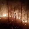 Šumski požari stvarali velike probleme vatrogascima u okolini Sarajeva: Za sve uzrok ljudski nemar