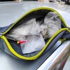 Rezultati velike policijske akcije u Zenici: Dvanaest uhapšenih, zaplijenjena droga i oružje