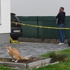 Bačena bomba na kuću Irfana Čengića, on poručio da se radi o sistemskom zastrašivanju