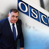 OSCE: Niko osim CIK-a ne može voditi izbore, to je kršenje Dejtonskog sporazuma