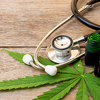 Legalizacija medicinskog kanabisa između interesa "biznisa", tromog sistema i potreba oboljelih