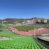 Derbi na Koševu bez navijača Borca, oglasio se FK Sarajevo: Iskreno žalimo zbog odluke