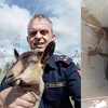 Dirljive scene: Ilidžanski vatrogasci iz bunara spasili mladunče koze