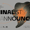 Žiri je odlučio: Objavljeni finalisti Sarajevo Photography Festivala