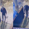 U sarajevskoj džamiji Ferhadija za vrijeme namaza muškarac ukrao cipele