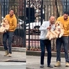 Vlasnik zlatnog retrivera otvorio vrata da uzme poštu, ljubimac odmah pobjegao na ulicu