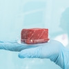 Za tri godine u Švicarskoj će se moći kupiti meso proizvedeno u laboratoriji