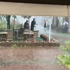Jako nevrijeme zahvatilo Tuzlu, uz vjetar i kišu padao led veličine graška