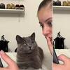 Neopisiva ljubav prema vlasnici: Snimak mačka koji s divljenjem gleda u nju će osvojiti vaše srce