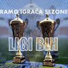 Ko je igrač sezone u nogometnom prvenstvu BiH?