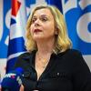 Željana Zovko osvojila 6.700 glasova u Hrvatskoj, ali je uspjela ponovo ući u Evropski parlament