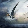 U Australiji otkrivene kosti letećeg dinosaura s masivnim jezikom