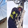 Mače satima bilo na banderi, spasili ga ilidžanski vatrogasci uz pomoć radnika elektrodistribucije