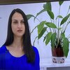 Detalj u pozadini emisije privukao pažnju korisnika Twittera u BiH: U duhu tradicije balkanskih naroda