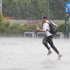 Žuti meteoalarm upaljen danas za određene dijelove Bosne i Hercegovine