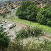 Sarajevo: Nevrijeme u Starom Gradu napravilo priličnu štetu, drvo sa Žute tabije palo na ulicu