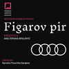 Audi BiH pripremio veliki poklon za građane Sarajeva 29. juna u Narodnom pozorištu
