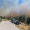 Tursku zahvatili šumski požari, od početka juna ih bilo aktivno više od 400