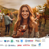 Vino, turizam i zabava: Otkrijte čari Hercegovine na prvom Festivalu Vinske ceste Hercegovine