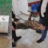 Muškarac koji je ukrao kip Bruce Leeja u Mostaru ide u zatvor