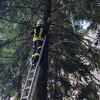 Vatrogasci na Ilidži spasili mače zaglavljeno na drvetu i oduševili građane: Spasili su jedan život