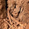 Najcjelovitiji ikad pronađeni kostur neandertalca još se ne može iskopati