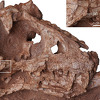 U Kini otkriven fosil nove vrste dinosaura